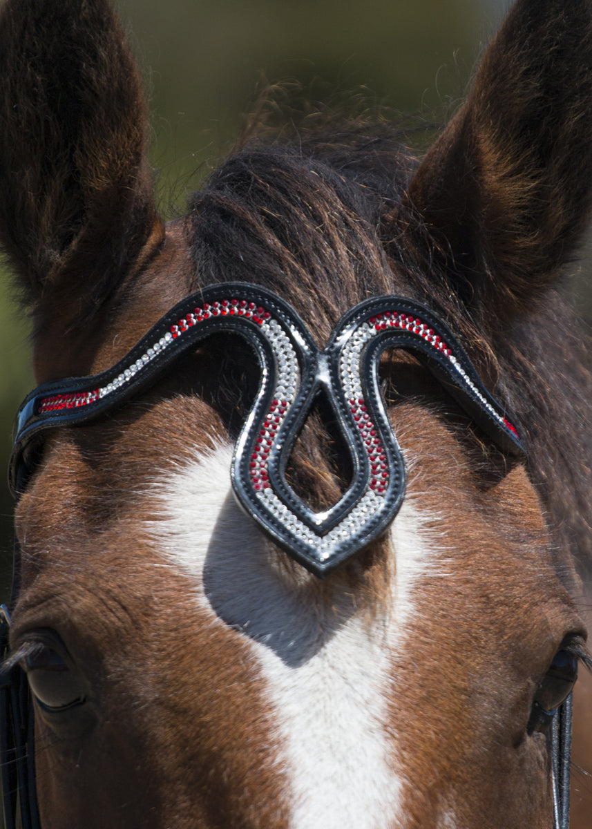 Pretty pony browbands and accessories - Bloomfield Louis Vuitton