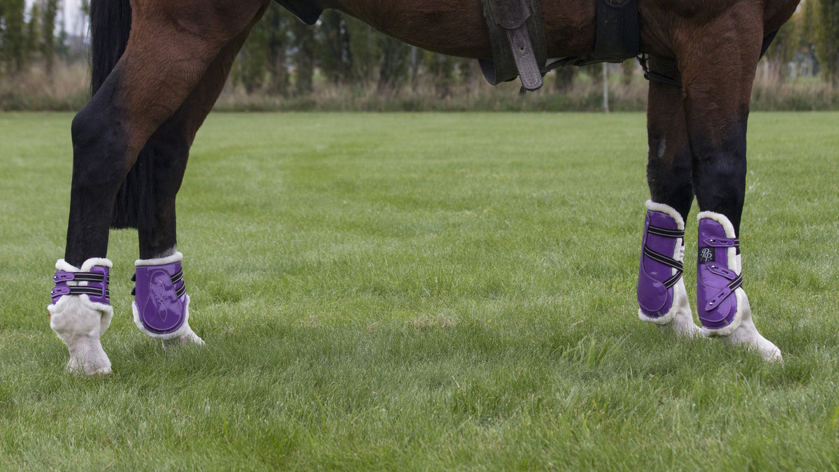 Boots for shops ponies