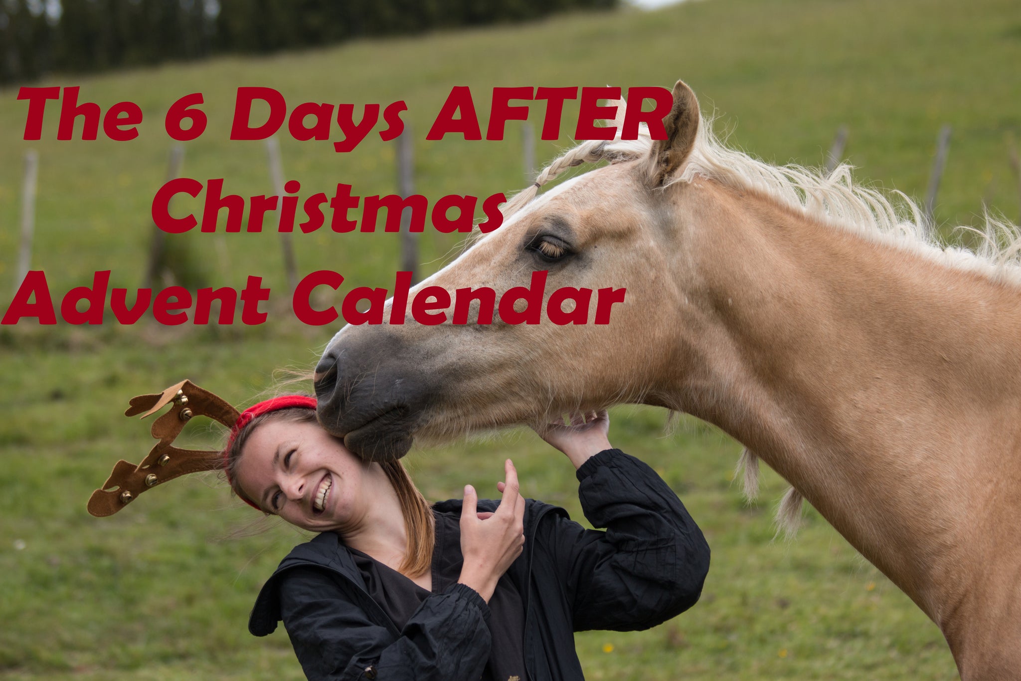 The 6 Days AFTER Christmas Advent Calendar - Equestrian's Version