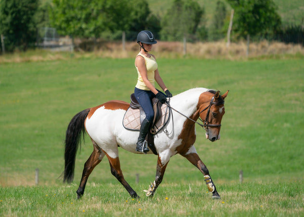 Tropical Sunset Colour Changing Saddle Pads - Jump, GP, and Dressage cuts