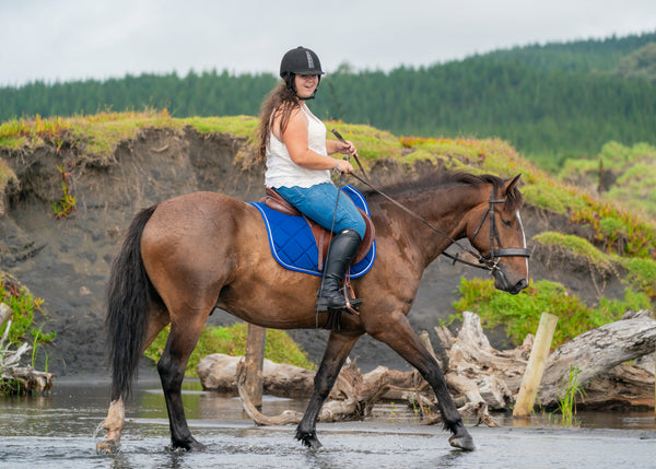 Royal Blue Saddle Pads - Jump, GP, and Dressage cuts