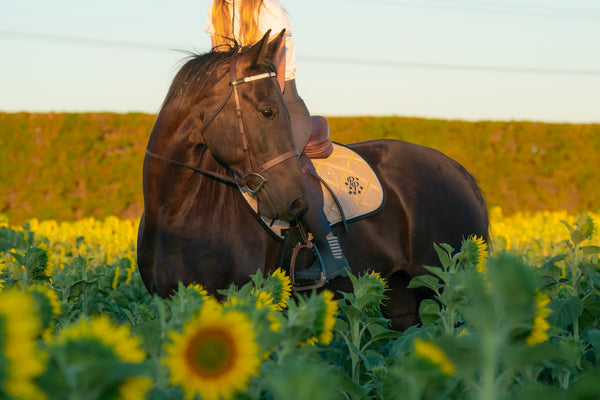 Tropical Sunset Colour Changing Saddle Pads - Jump, GP, and Dressage cuts