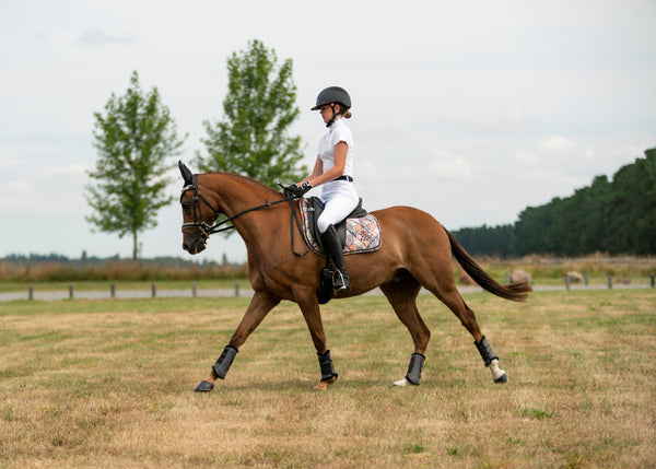 LE Autumn Leaves - Black Dressage Pad