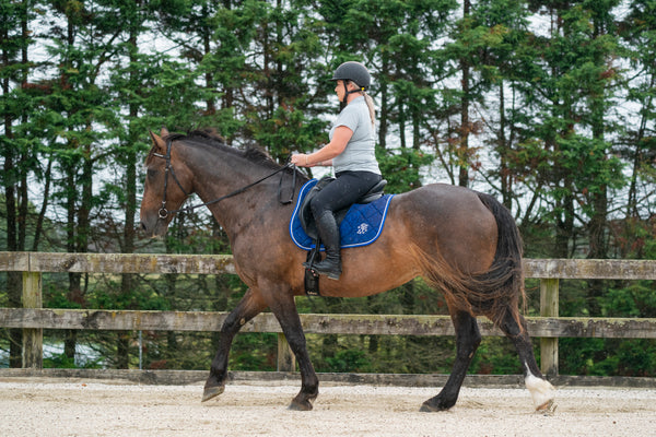 Royal Blue Saddle Pads - Jump, GP, and Dressage cuts