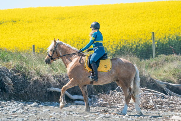 Sunflower Yellow/Black Saddle Pads - Jump, GP, and Dressage cuts