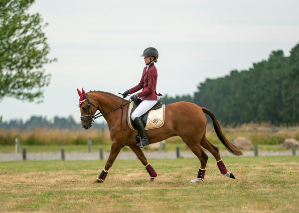 Champagne Satin Saddle Pads - Jump, GP, and Dressage cuts