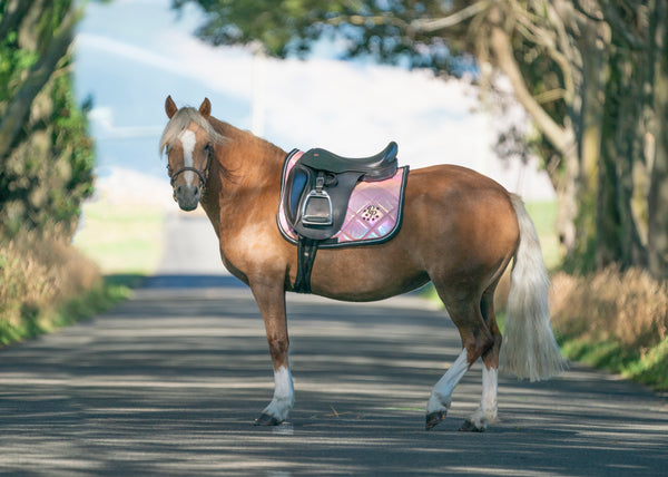 Persephone Dressage Pad