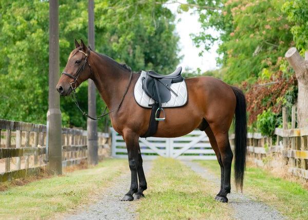 Silver Glitter Saddle Pads - Jump, GP, and Dressage cuts