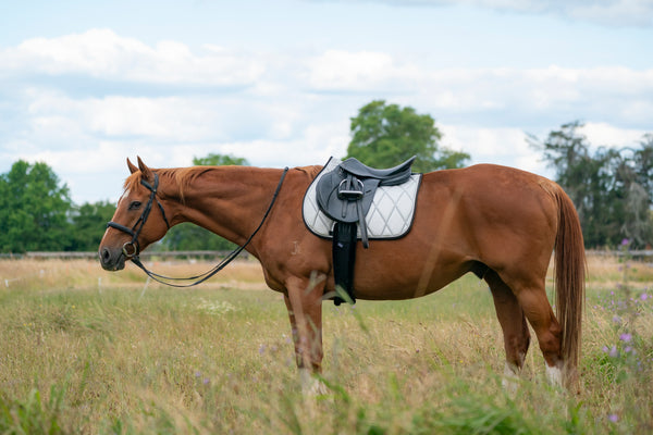 Silver Glitter Saddle Pads - Jump, GP, and Dressage cuts