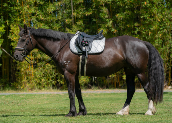 Silver Glitter Saddle Pads - Jump, GP, and Dressage cuts