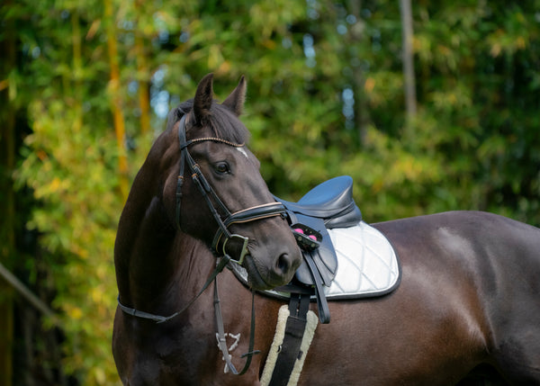 Silver Glitter Saddle Pads - Jump, GP, and Dressage cuts