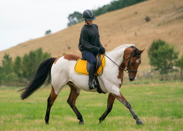 Sunflower Yellow/Black Saddle Pads - Jump, GP, and Dressage cuts