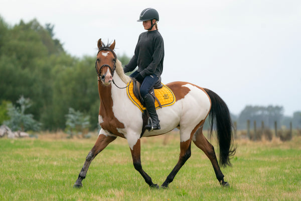 Sunflower Yellow/Black Saddle Pads - Jump, GP, and Dressage cuts