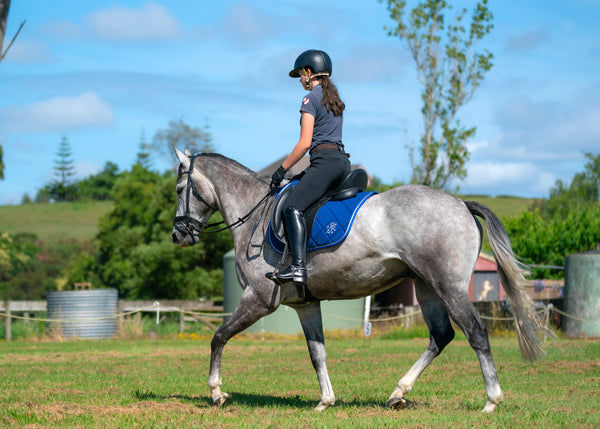 Royal Blue Saddle Pads - Jump, GP, and Dressage cuts