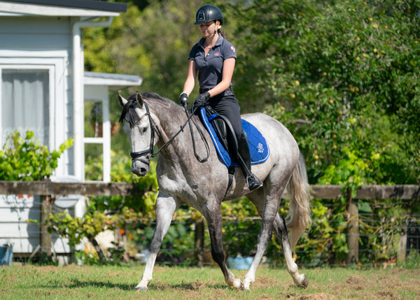 Royal Blue Saddle Pads - Jump, GP, and Dressage cuts