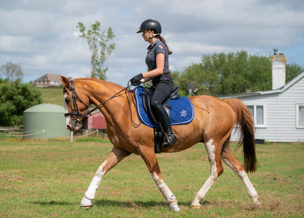 Royal Blue Saddle Pads - Jump, GP, and Dressage cuts