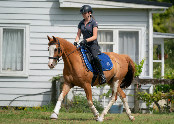 Royal Blue Saddle Pads - Jump, GP, and Dressage cuts