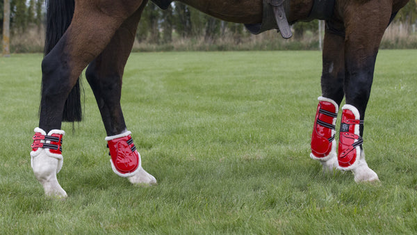 Open Front Boots - Set of four – Punk Ponies