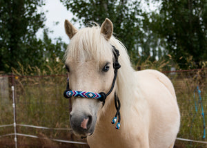 Hand Beaded Rope Halters